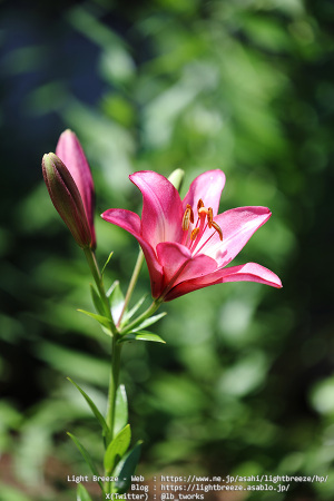 写真 #43