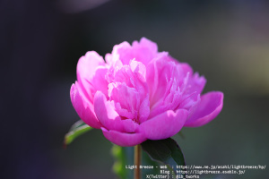 写真 #112